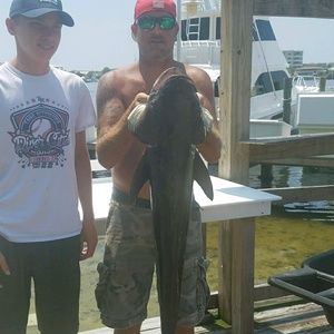 Meet your Posher, Shawn